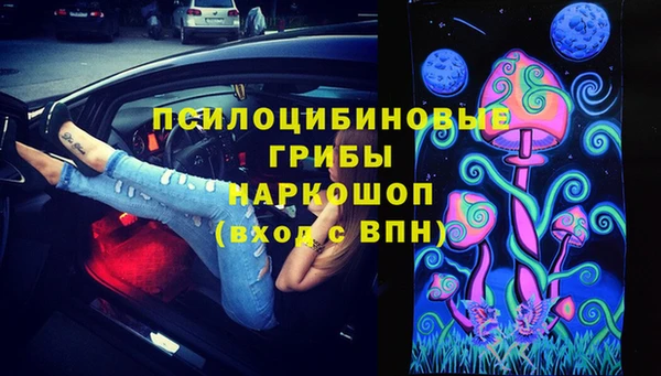 шишки Волосово