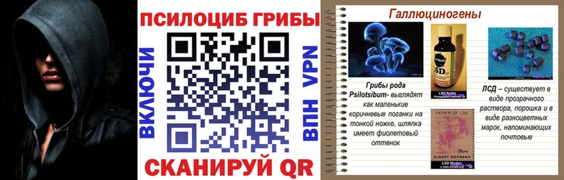 Псилоцибиновые грибы мицелий  Купить закладки  Петровск 